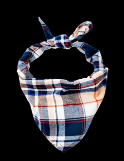 Acorn Harvest Flandana