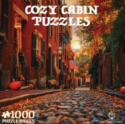 Acorn Street Puzzle