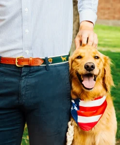 All American Retriever Ribbon Belt