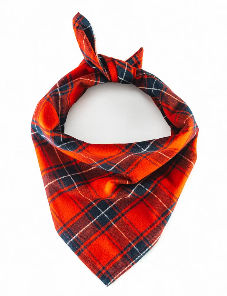 Apple Cider Flandana