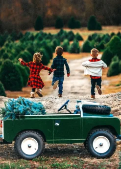 Apple Pie Skillet Kids Flannel Dress