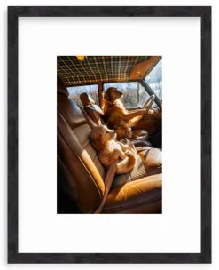 Bennie, Are We There Yet?