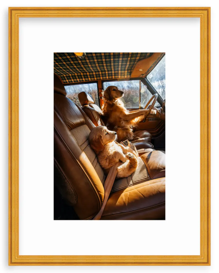 Bennie, Are We There Yet?