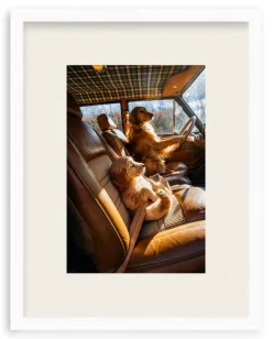 Bennie, Are We There Yet?