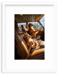 Bennie, Are We There Yet?