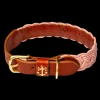 Bermuda Sand Beach Dog Collar