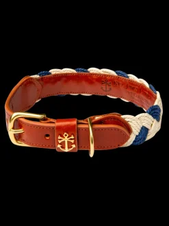 Brenton Cay Dog Collar