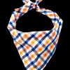 Falmouth Picnic Bandana
