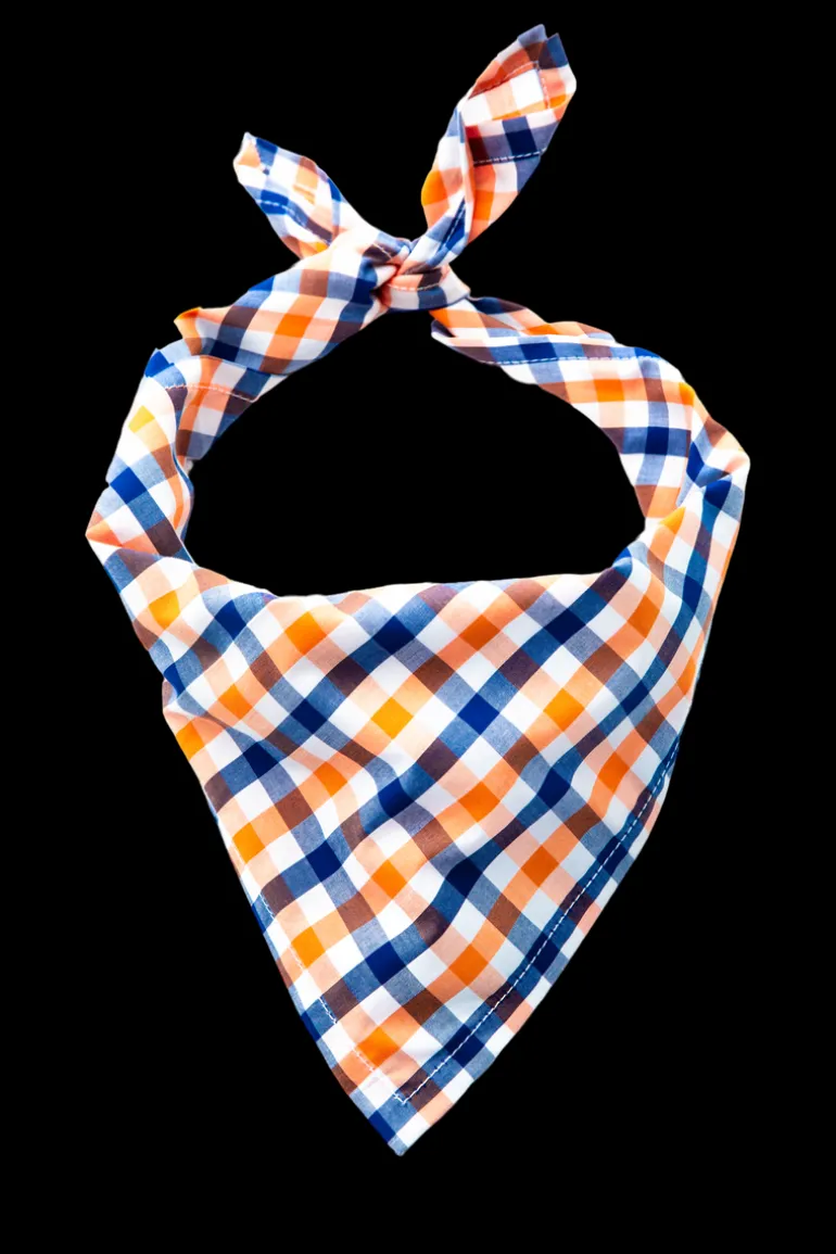 Falmouth Picnic Bandana