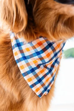 Falmouth Picnic Bandana