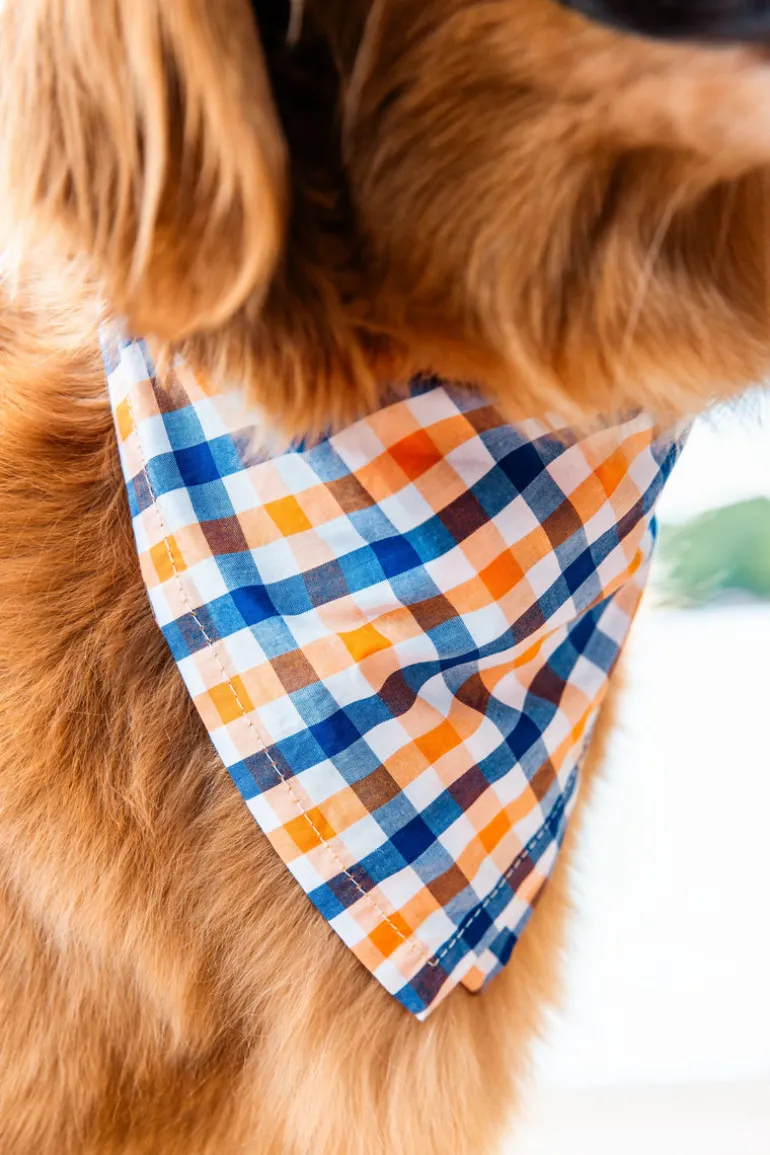 Falmouth Picnic Bandana