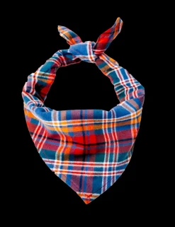 Foliage Run Flandana