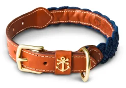 Hortock's Compass Rose Dog Collar