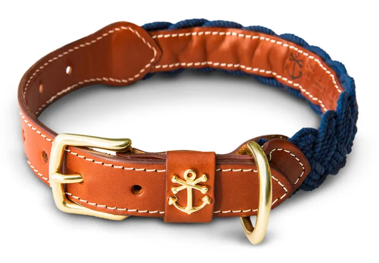 Hortock's Compass Rose Dog Collar