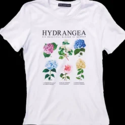 Hydrangea Blooms T-Shirt- Women's