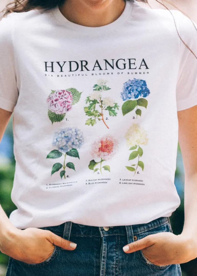 Hydrangea Blooms T-Shirt- Women's