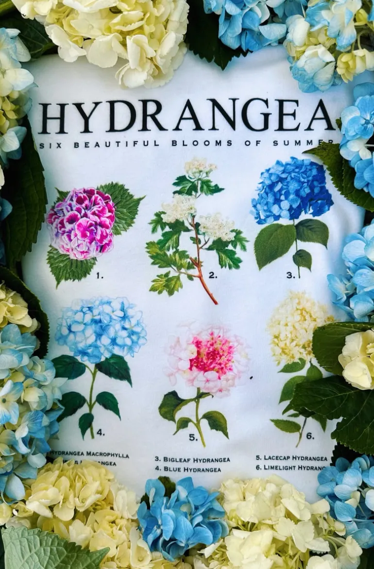 Hydrangea Blooms T-Shirt- Women's