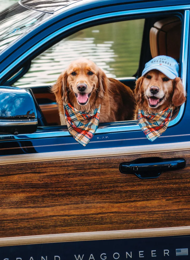 Jeep® x KJP Embroidered Madras Dog Bandana