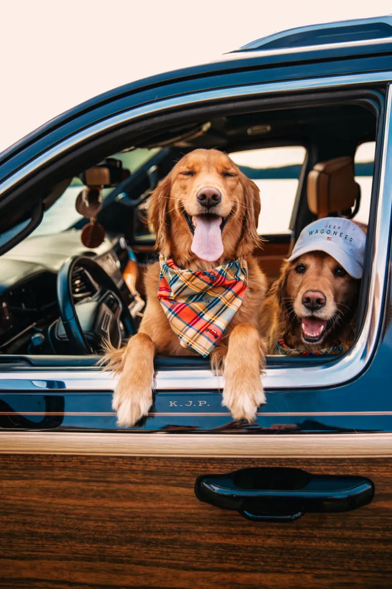 Jeep® x KJP Embroidered Madras Dog Bandana