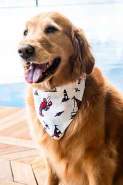 Lobster Harbor Bandana