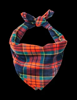 Maple Lake Trail Flandana