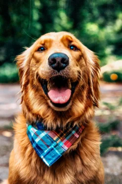 Montauk Patchwork Madras Bandana