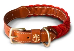 Narragansett Lifeguard Dog Collar