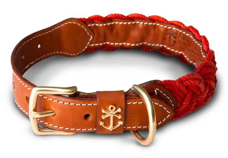 Narragansett Lifeguard Dog Collar