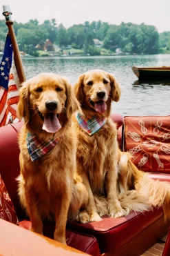 Newport Patchwork Madras Bandana