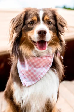 Sconset Picnic Bandana