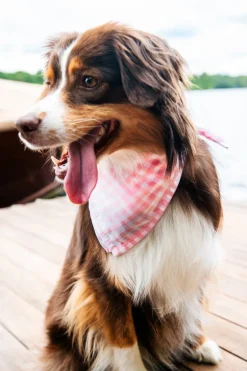 Sconset Picnic Bandana