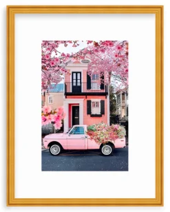 Southern Spring Charm