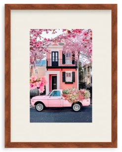 Southern Spring Charm