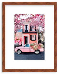 Southern Spring Charm