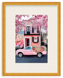 Southern Spring Charm