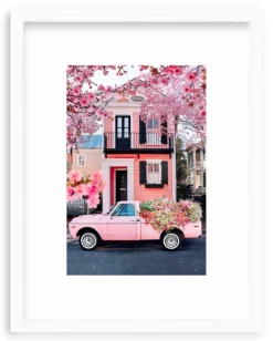 Southern Spring Charm