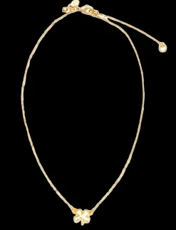 The Gold Four Leaf Clover Necklace