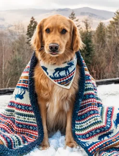 The Great Moose Bandana