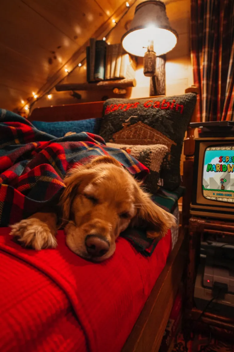 The Manchester Tartan Blanket