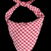 Vineyard Picnic Bandana