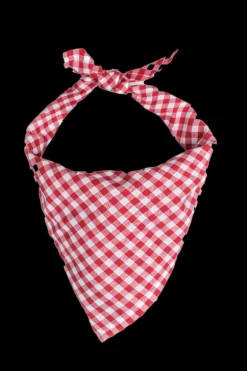Vineyard Picnic Bandana