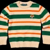 Wilderness Raccoon Striped Kids Sweater